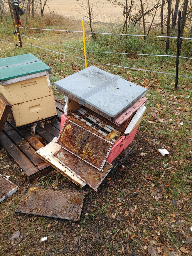 2021 Season photo 58